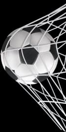 Soccer ball scoring goal